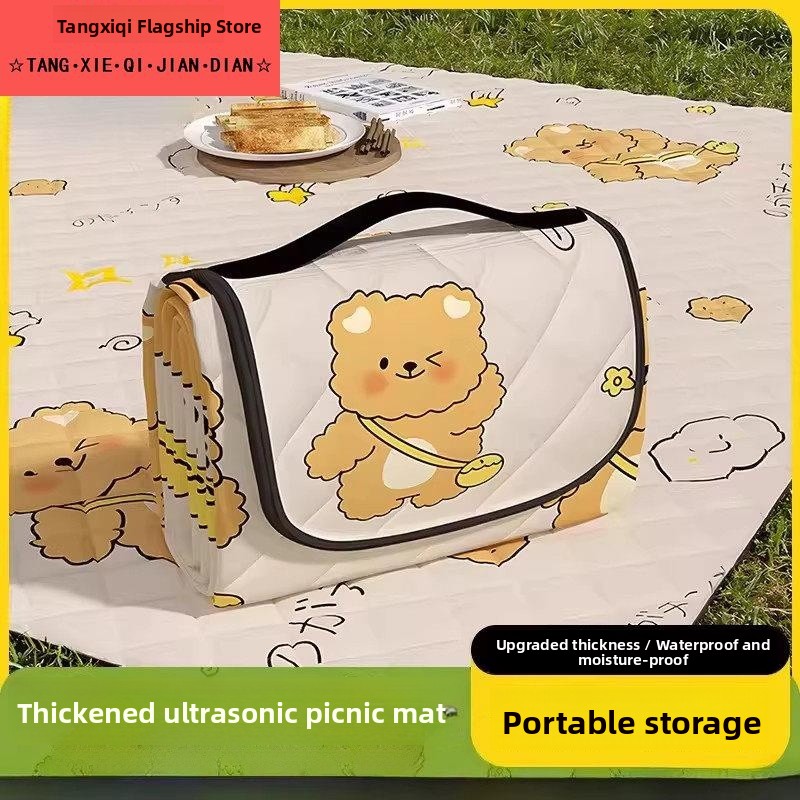Thickened Portable Picnic Mat  - Outdoor Camping Mat Waterproof 리뷰 및 가격