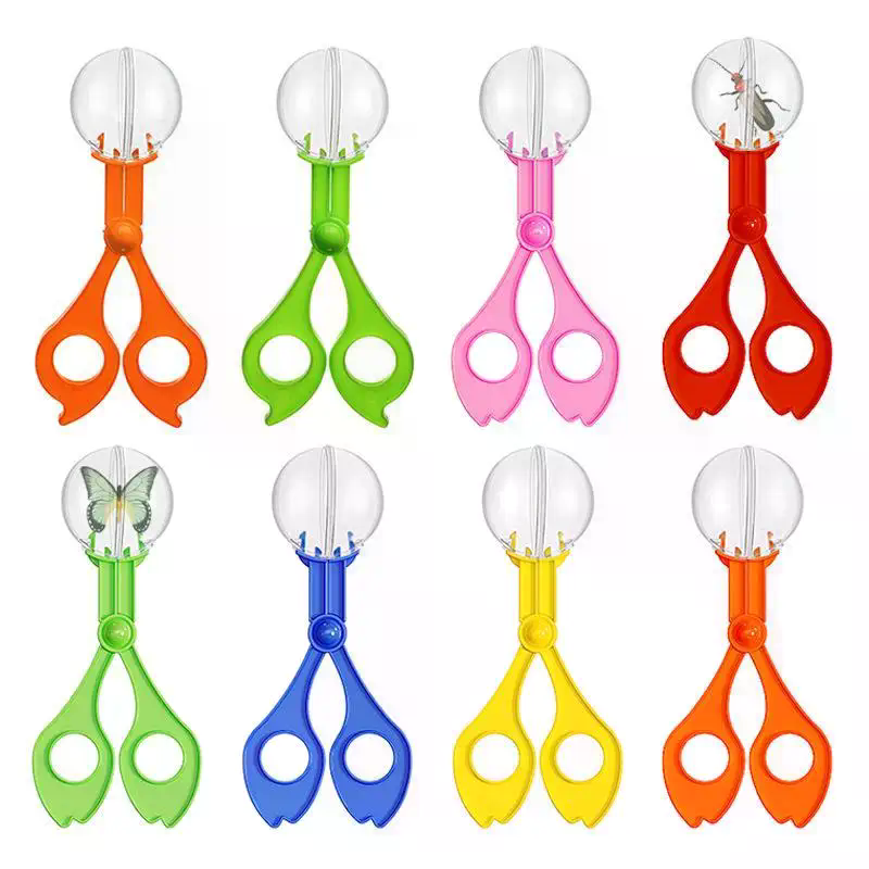Educational Bug Catcher Scisso - Outdoor Camping Activities For Kids 리뷰 및 가격