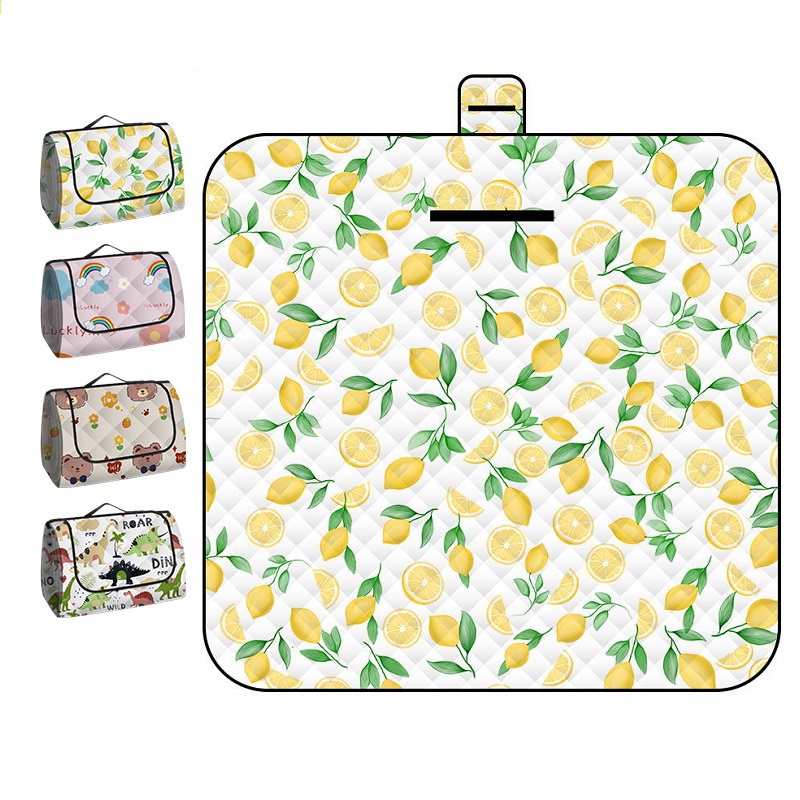 150*200CM Portable Picnic Mat  - Outdoor Camping Mat Waterproof 리뷰 및 가격