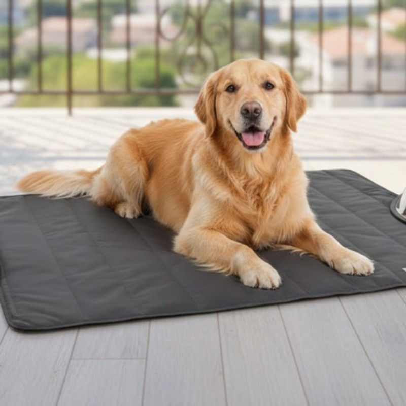 Pet Blanket Outdoor All Season - Outdoor Camping Dog Bed 리뷰 및 가격