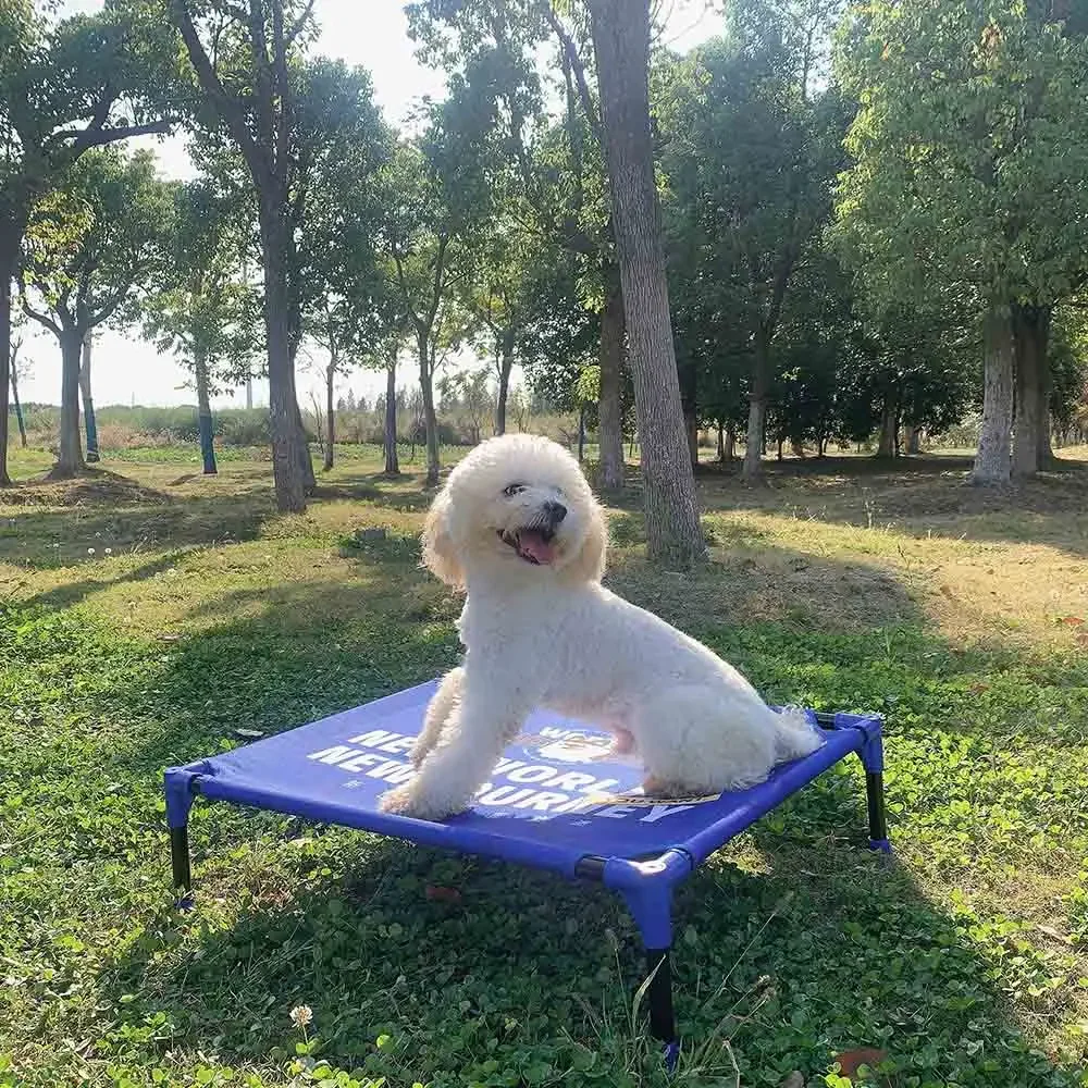 FULED Portable Outdoor Elevate - Outdoor Camping Dog Bed 리뷰 및 가격
