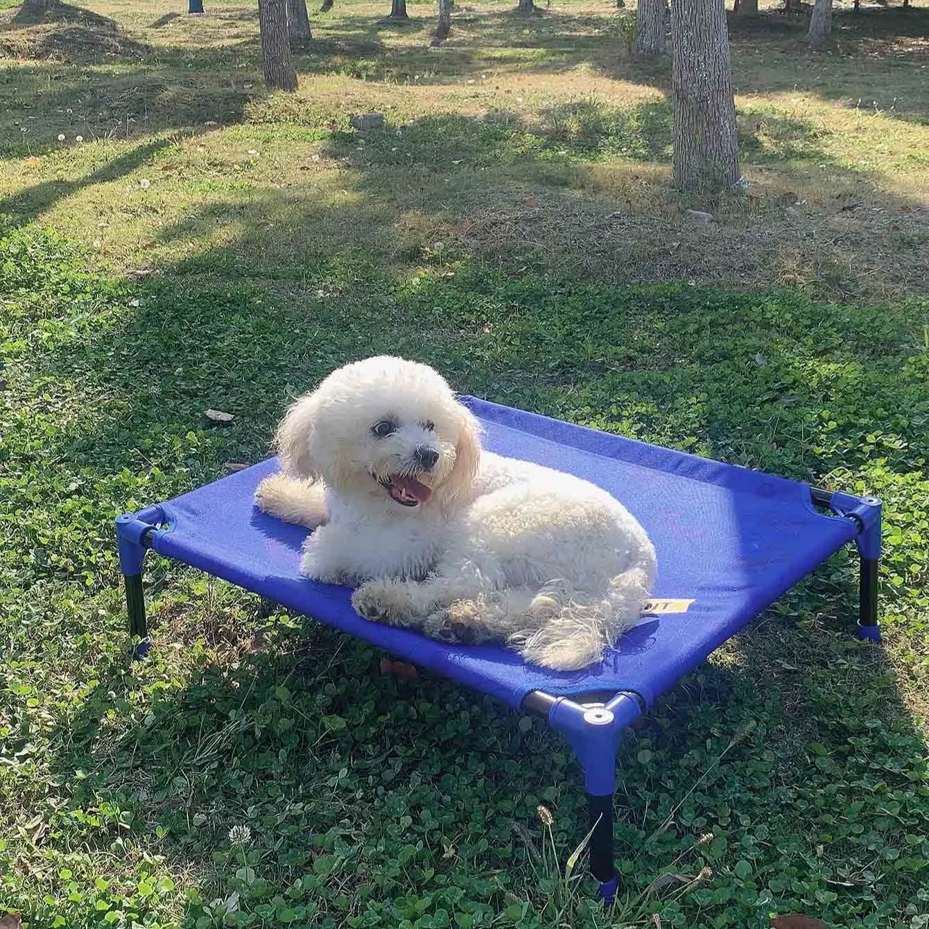 FULED Portable Outdoor Elevate - Outdoor Camping Dog Bed 리뷰 및 가격