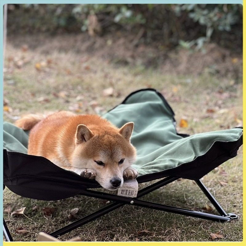 Removable cat and dog mattress - Outdoor Camping Dog Bed 리뷰 및 가격