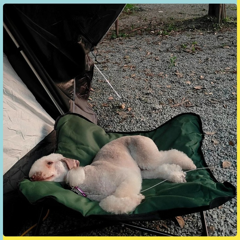 Removable cat and dog mattress - Outdoor Camping Dog Bed 리뷰 및 가격