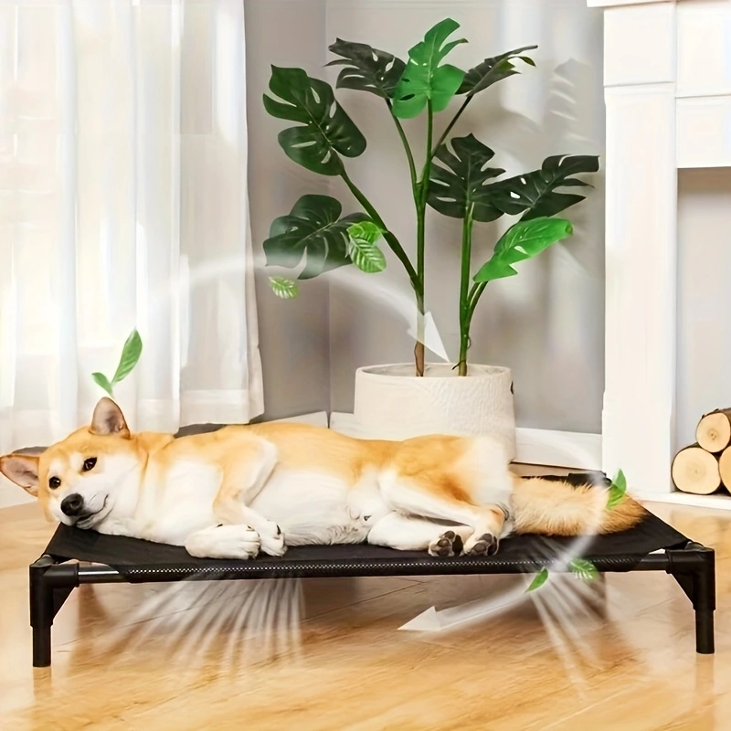 Cooling Elevated Dog Bed - Rai - Outdoor Camping Dog Bed 리뷰 및 가격