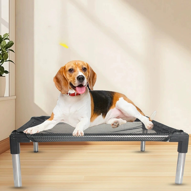 Cooling Elevated Dog Bed - Rai - Outdoor Camping Dog Bed 리뷰 및 가격