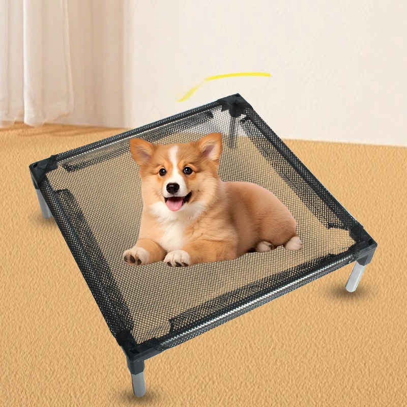 Cooling Elevated Dog Bed - Rai - Outdoor Camping Dog Bed 리뷰 및 가격