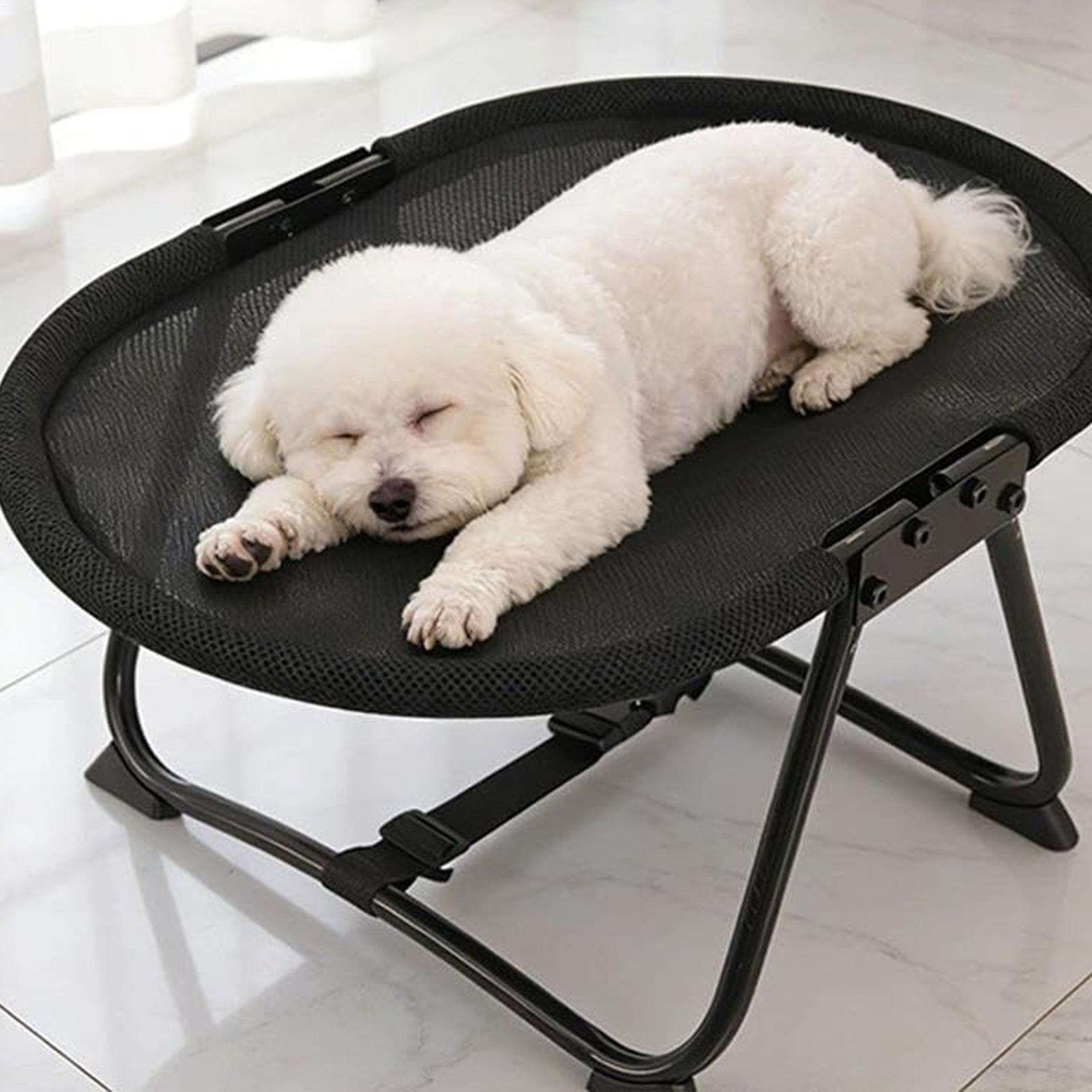 Dog Cot Bed Foldable Breathabl - Outdoor Camping Dog Bed 리뷰 및 가격