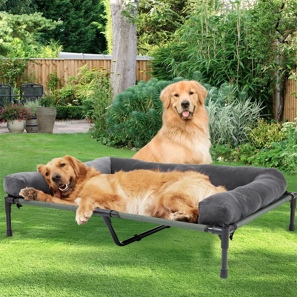 BINGOPAW Outdoor Dog Bed Eleva - Outdoor Camping Dog Bed 리뷰 및 가격