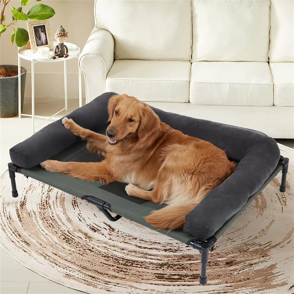 BINGOPAW Outdoor Dog Bed Eleva - Outdoor Camping Dog Bed 리뷰 및 가격