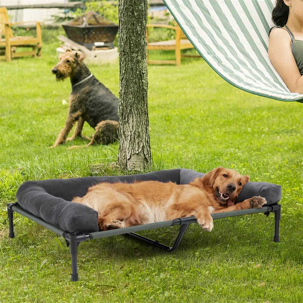 BINGOPAW Outdoor Dog Bed Eleva - Outdoor Camping Dog Bed 리뷰 및 가격