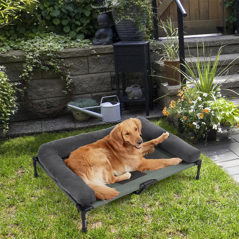 BINGOPAW Outdoor Dog Bed Eleva - Outdoor Camping Dog Bed 리뷰 및 가격