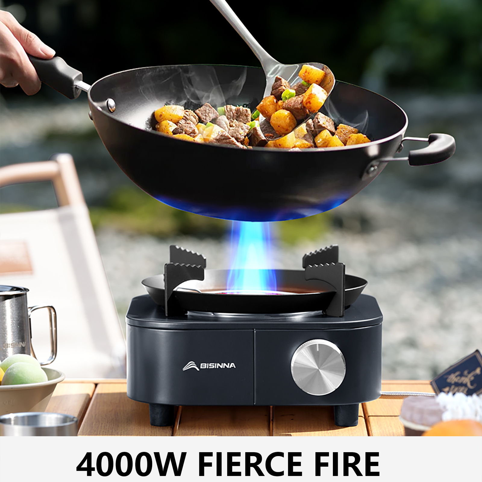BISINNA 4000W High-power Infra - Outdoor Gas Camping Oven 리뷰 및 가격