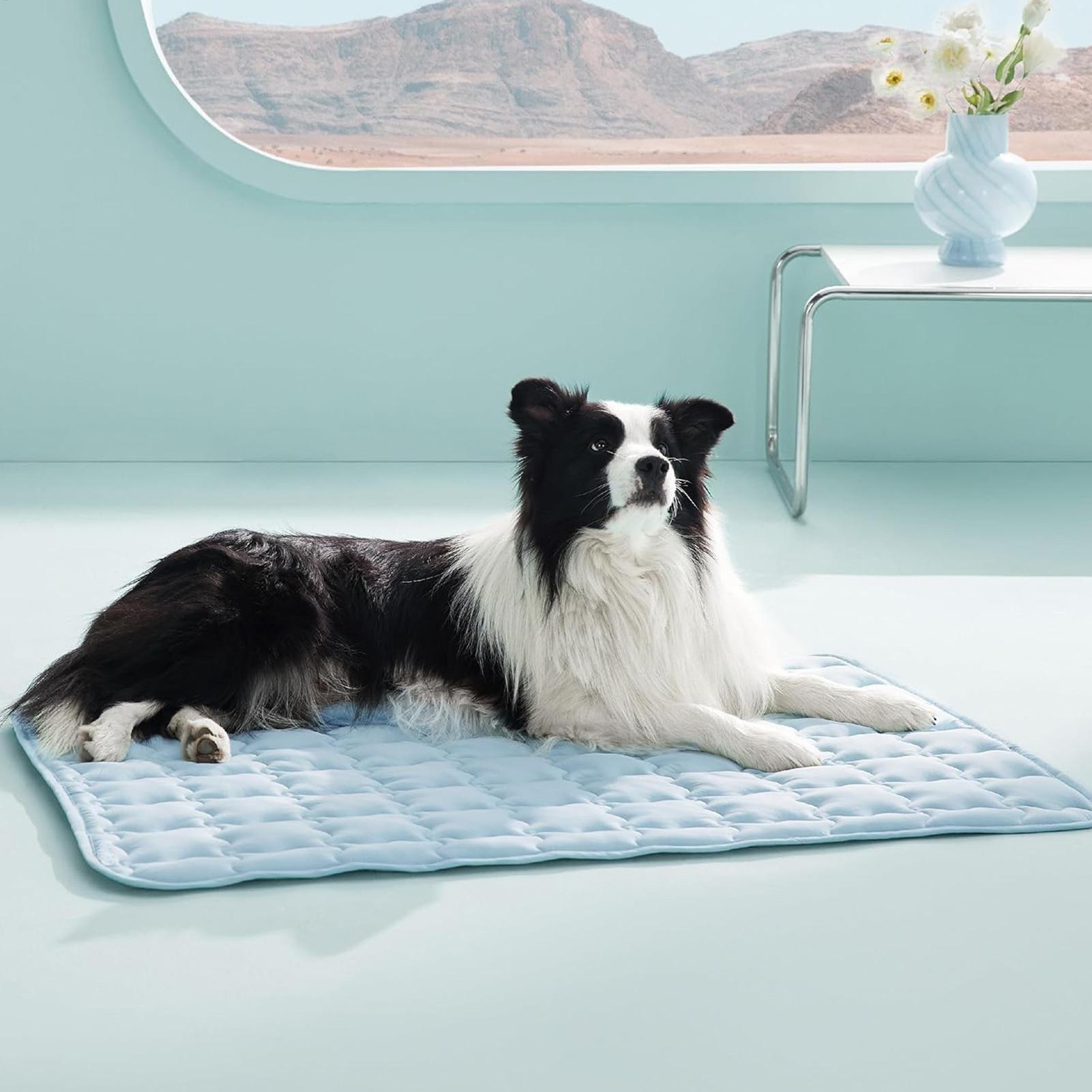 Pet Cooling Pad Breathable Ant - Outdoor Camping Dog Bed 리뷰 및 가격