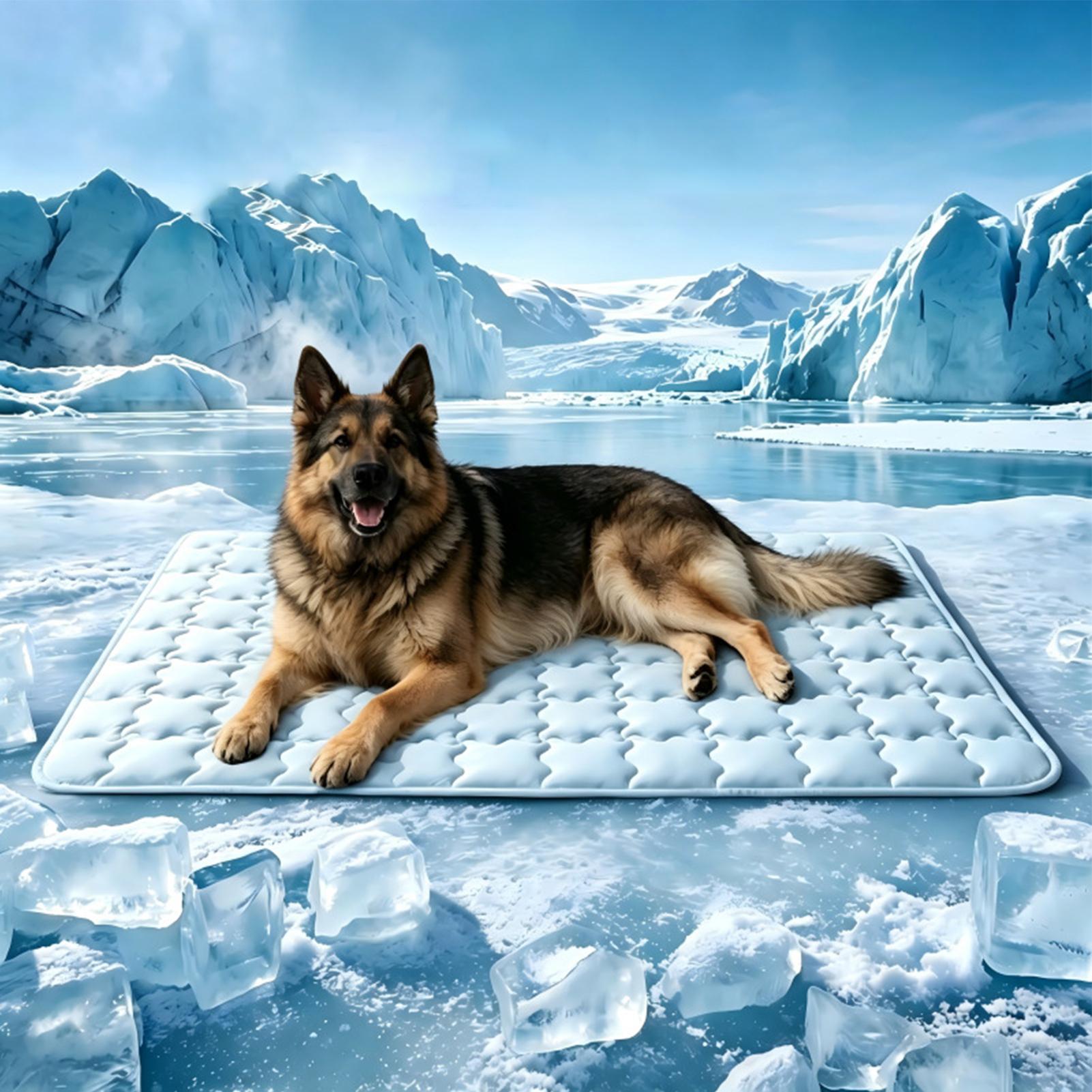 Pet Cooling Pad Breathable Ant - Outdoor Camping Dog Bed 리뷰 및 가격