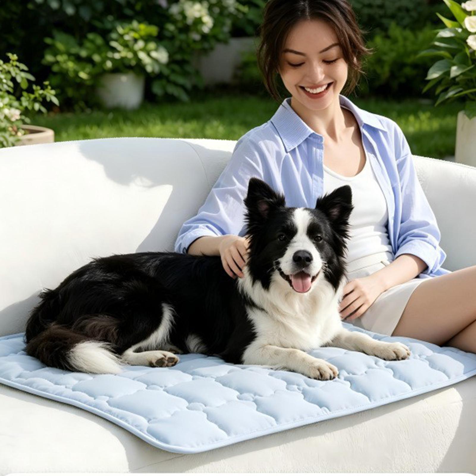 Pet Cooling Pad Breathable Ant - Outdoor Camping Dog Bed 리뷰 및 가격