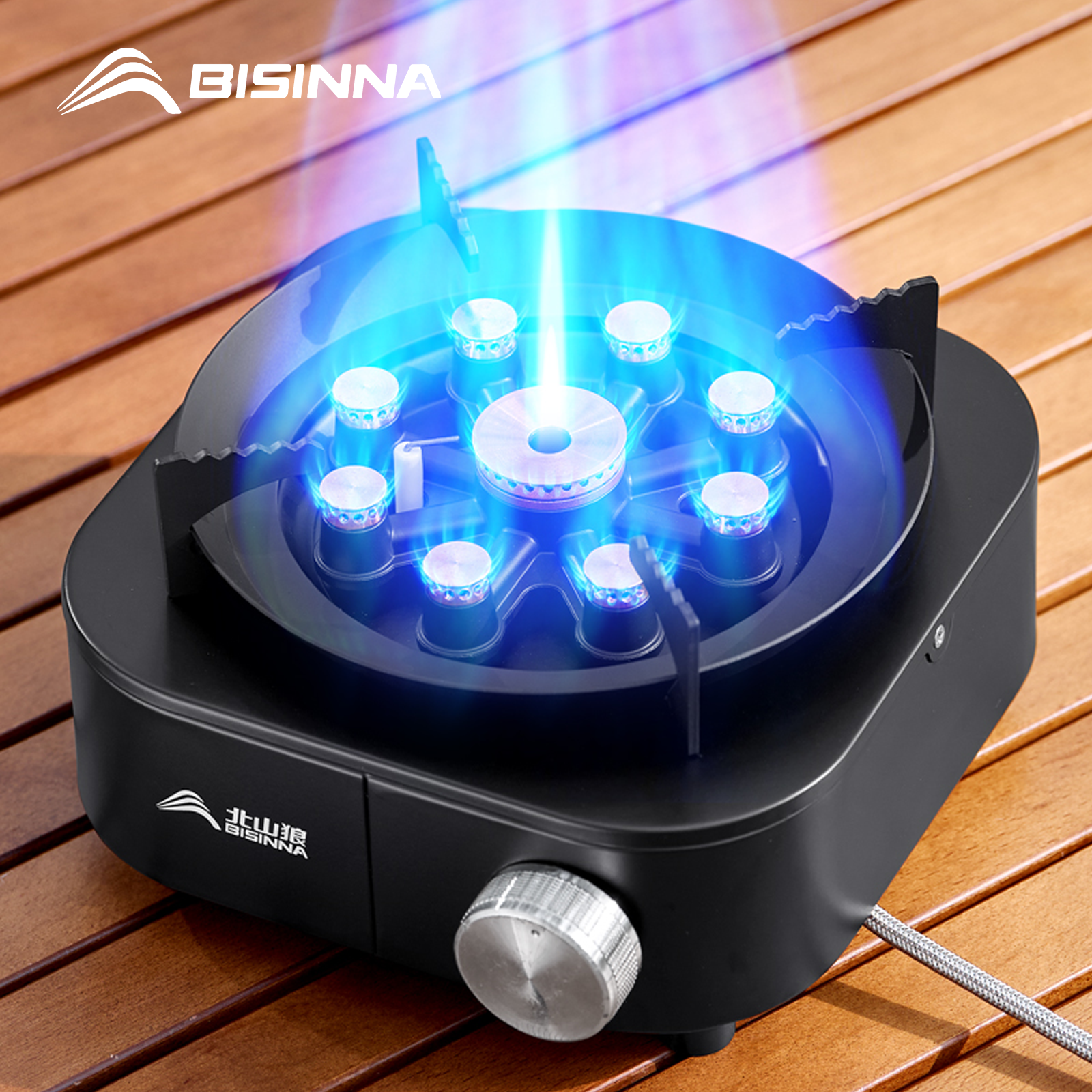 BISINNA Portable Camping Gas S - Outdoor Gas Camping Oven 리뷰 및 가격